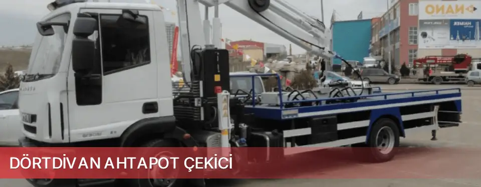 Dörtdivan İlçemi Ahtapot Çekici